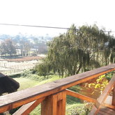 Gunner;s country views